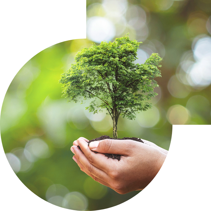 关怀人类、文化、环境与社会